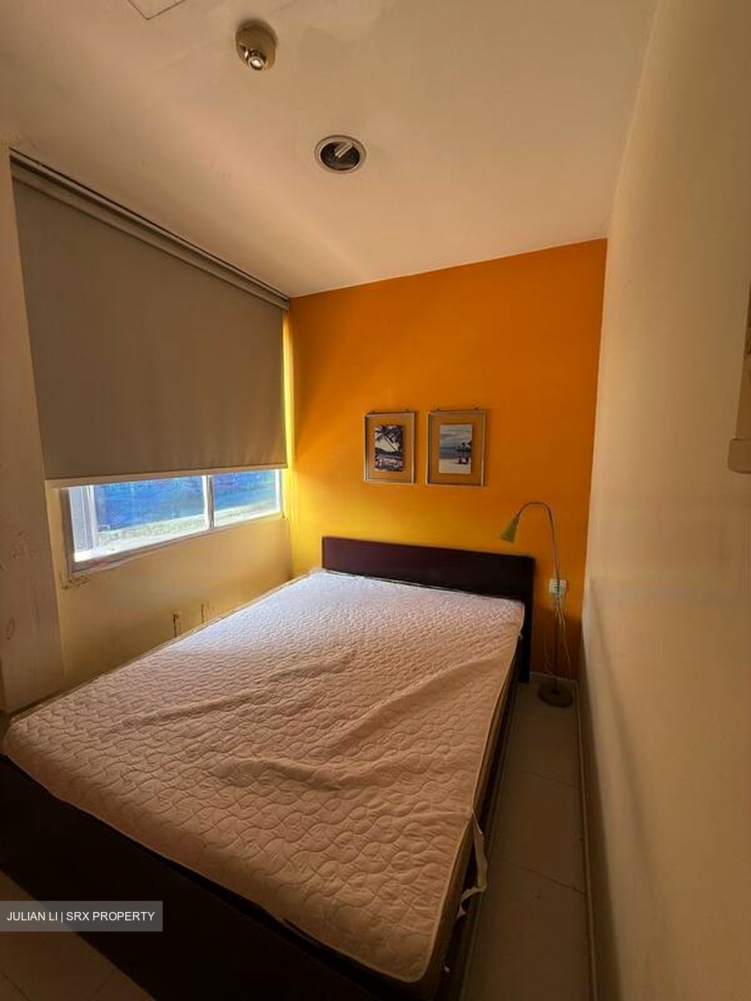 Little India Conservation Area (D8), Retail #489413511